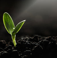 Botanics to Skin Ethics