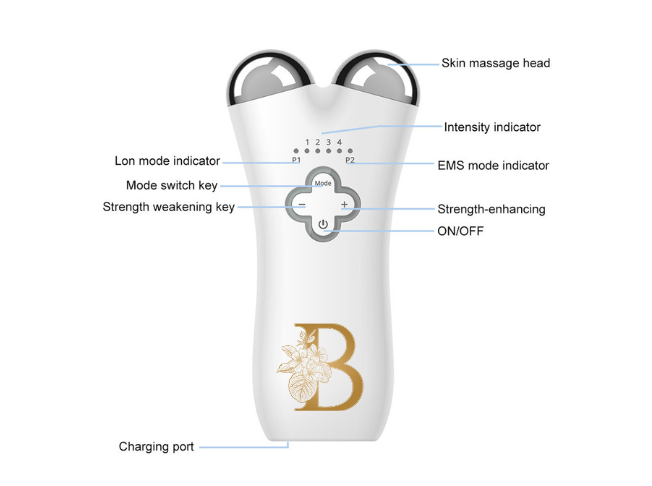 Microcurrent and EMS Facial Device